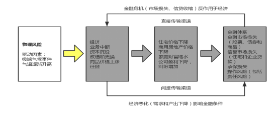 641d1c8942ed9.png image.png