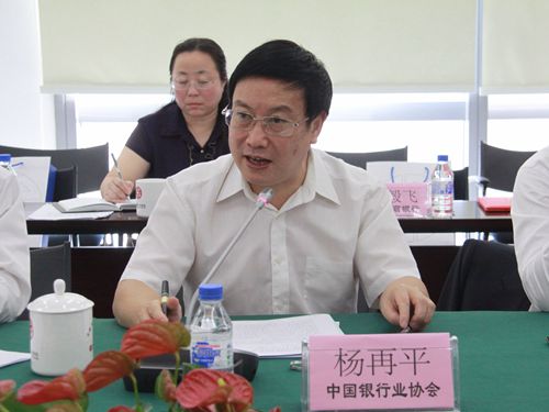 2.中国银行业协会杨再平专职副会长讲话_副本.jpg