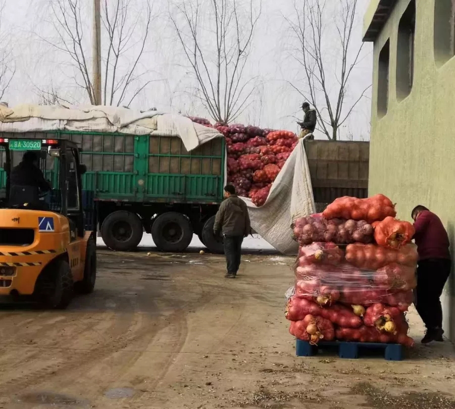 5e468b6f5d7e5.jpg 5e468b6f5d7e5.jpg