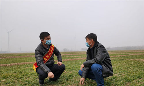 5e564a0204e35.png 图片1.png