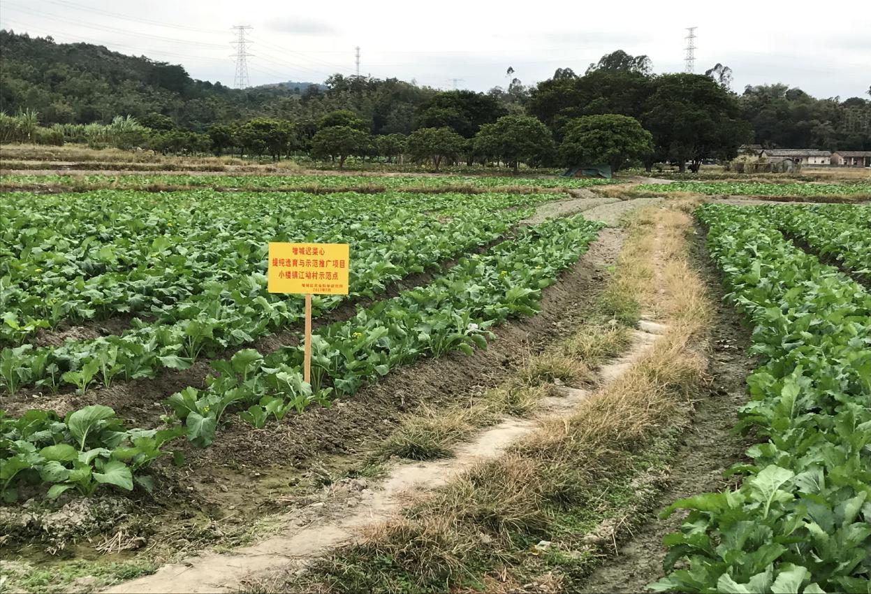 5e61b0db455a1.jpg 图片1.jpg