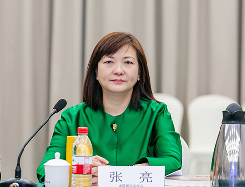 6065ec4a8e4bc.jpg 序号1:中国银行业协会副秘书长张亮出席会议并讲话.jpg