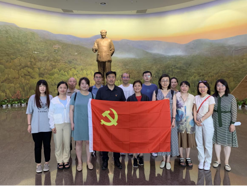 6565436aa1dec.png image.png