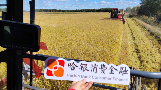 68dbed39d4410.png 68dbed39d4410.png