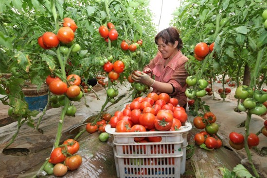 7.jpg 7.jpg