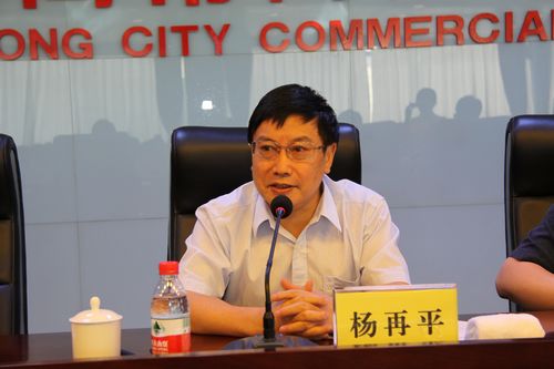 1杨再平专职副会长讲话.jpg 1杨再平专职副会长讲话.jpg