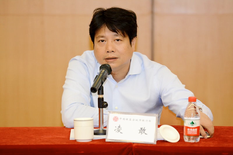 银监会城市银行部主任凌敢讲话.JPG 银监会城市银行部主任凌敢讲话.JPG