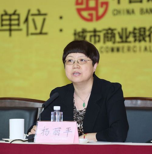 4银监会监管二部主任杨丽平讲话.jpg 4银监会监管二部主任杨丽平讲话.jpg