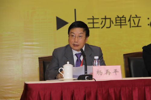 照片6-中国银行业协会专职副会长杨再平主持会议 .JPG
