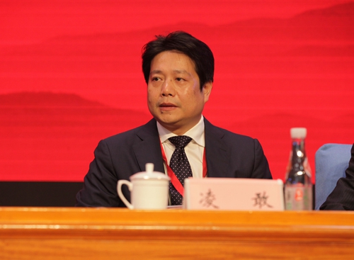5-银监会城市银行部主任凌敢出席并讲话.JPG