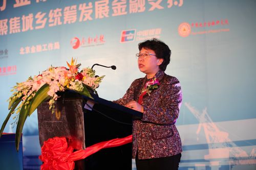 10北京市金融工作局局长王红.jpg 10北京市金融工作局局长王红.jpg