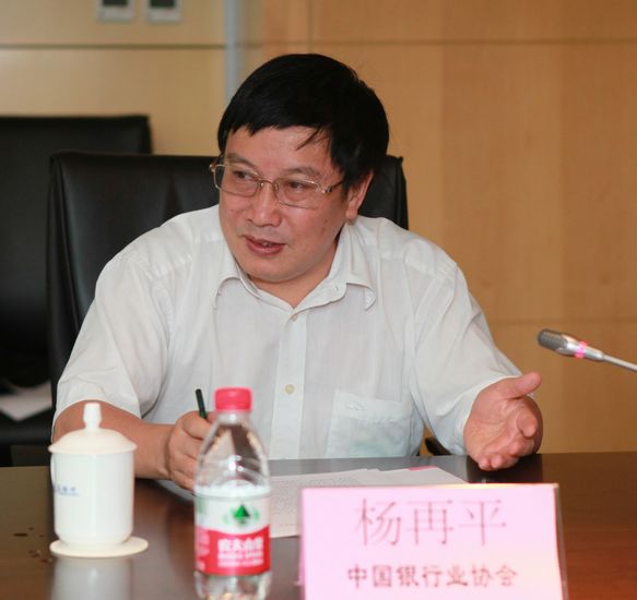 中国银行业协会杨再平专职副会长在会议上讲话.jpg 中国银行业协会杨再平专职副会长在会议上讲话.jpg