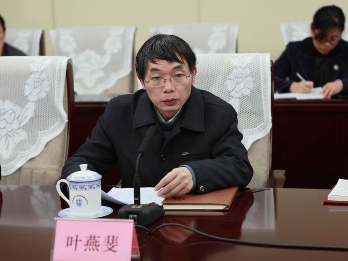 13银监会统计部副主任叶燕斐.JPG