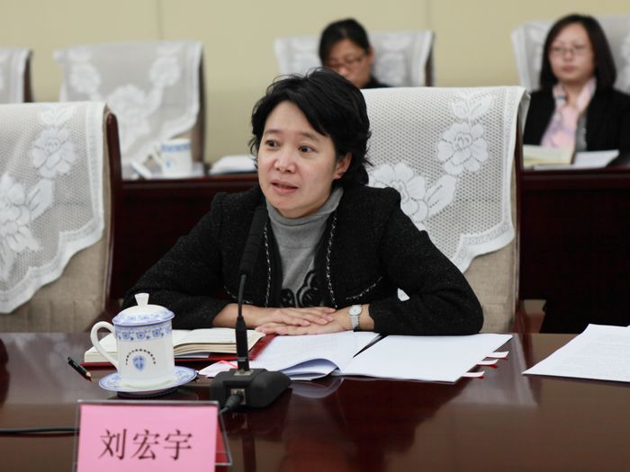 11银监会办公厅副主任刘宏宇.JPG
