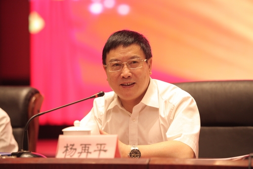 2.中国银行业协会扬再平专职副会长讲话.JPG 2.中国银行业协会扬再平专职副会长讲话.JPG