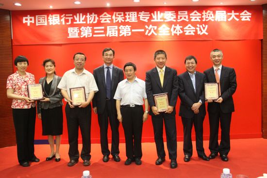 6.中国银行业协会杨再平专职副会长颁发突出贡献个人奖.JPG
