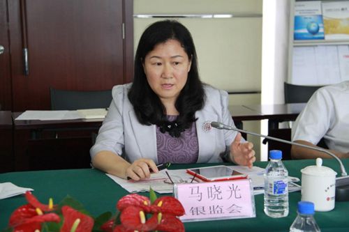 6.银监会合作部马晓光副巡视员发言_副本.jpg