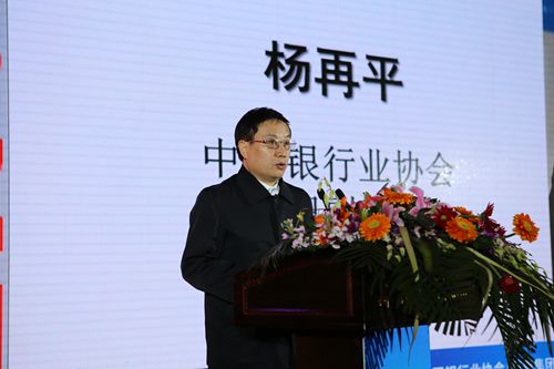 1.中国银行业协会专职副会长杨再平致辞_副本.jpg 1.中国银行业协会专职副会长杨再平致辞_副本.jpg