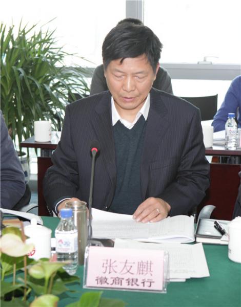 8-常委单位徽商银行副行长张友麒讲话.jpg 8-常委单位徽商银行副行长张友麒讲话.jpg