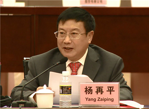 2.亚金协筹建工作组第一副组长、筹建牵头单位中国银行业协会专职副会长杨再平主持会议.jpg