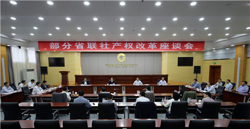 座谈会现场（江锋+摄）.jpg