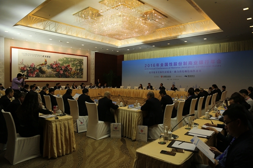 14-《2016年全国性股份制商业银行发展报告》研讨会现场.JPG